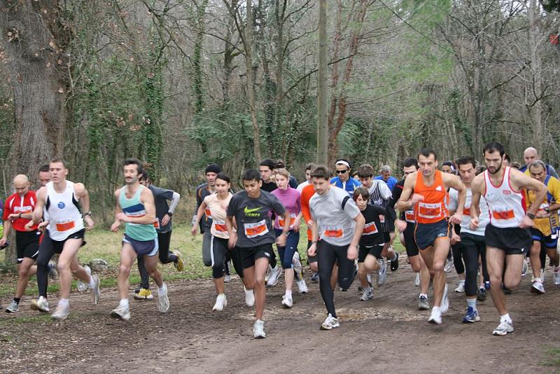 start_sijana_0708.jpg